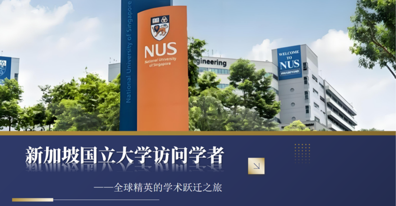 新加坡国立大学